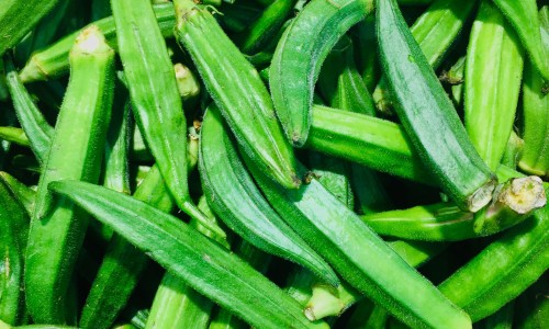 吃什么食物增加免疫力最快最有效-吃什么食物容易排大便网 :分享吃什么食物性功能增强的特别好-吃什么减脂肪最快最有效知识