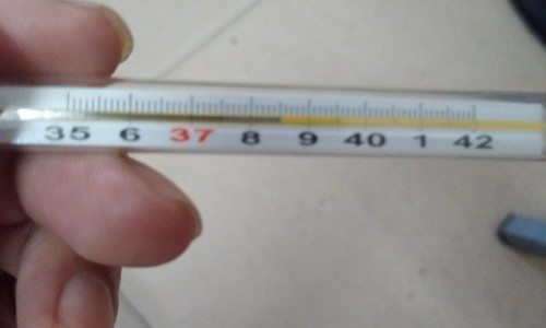 吃什么食物增加免疫力最快最有效-吃什么食物容易排大便网 :分享吃什么食物性功能增强的特别好-吃什么减脂肪最快最有效知识